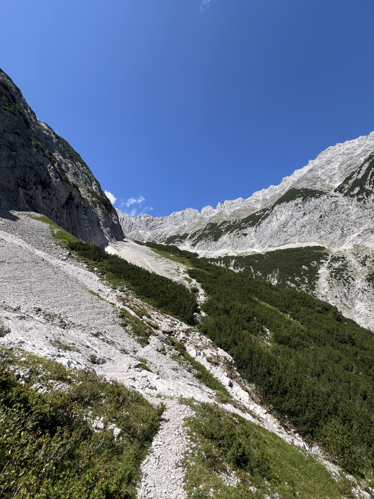 placeholder image-sq
